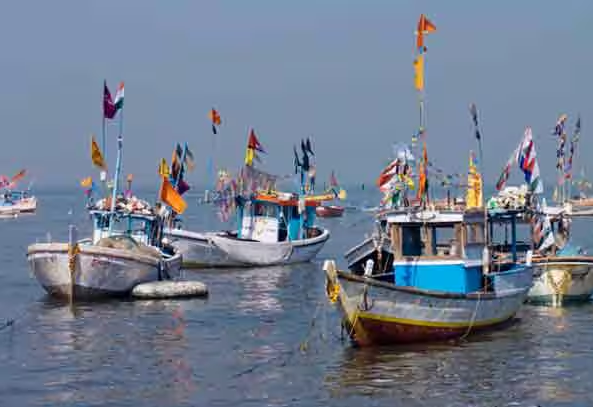 திருநெல்வேலி மாவட்ட மீனவர்கள், கடலில் சென்று மீன்பிடிக்க, 5 நாட்களுக்கு தடை விதித்துள்ள, மாவட்ட நிர்வாகம்!