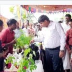 WhatsApp-Image-2024-11-21-at-8.37.27-PM