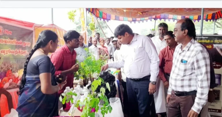 WhatsApp-Image-2024-11-21-at-8.37.27-PM