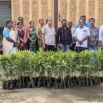 சங்கரன்கோவிலில்நான்கு வழிச்சாலை சென்டர் மீடியனில் மரக்கன்றுகள் நடும் நிகழ்ச்சி.