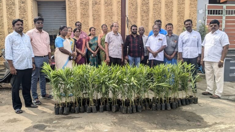 சங்கரன்கோவிலில்நான்கு வழிச்சாலை சென்டர் மீடியனில் மரக்கன்றுகள் நடும் நிகழ்ச்சி.