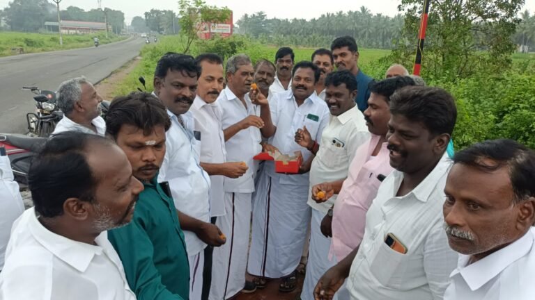 பழனி அருகே ஆயக்குடியில் திமுக சார்பில் துணை முதல்வர் பிறந்தநாள் விழா