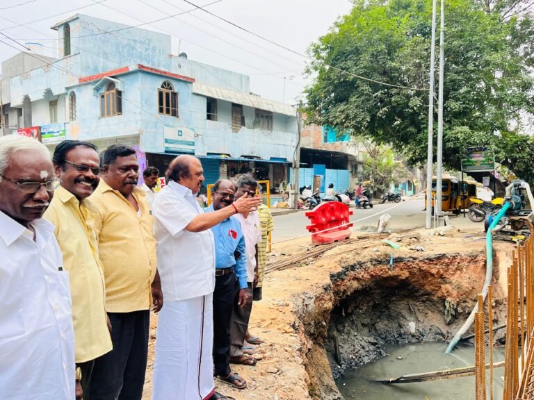 புதுவை உப்பளம் தொகுதி பெரிய வாய்க்கால் பாலம் சீரமைப்பு பணியை அனிபால் கென்னடி ஏம்எல்ஏ ஆய்வு செய்தார்