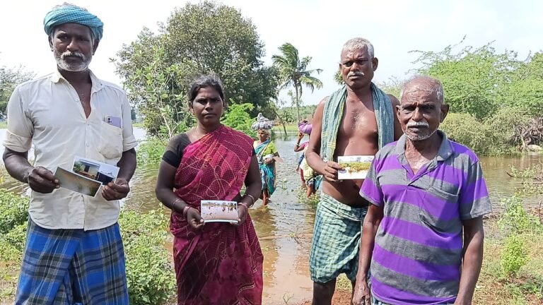சோளங்குருணி கிராமத்தில், விளை நிலத்தில் புகுந்த நீரால் 60 ஏக்கரில் பயிரிட்ட கத்திரி வெண்டை, கடலை, மல்லிகை விவசாயம் பாதிப்பு.