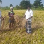 அய்யனார் குளம் பகுதி விவசாயிகள் அதிகாரிகள் மீது புகார்.
