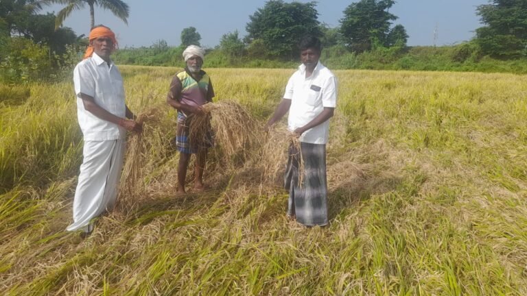 அய்யனார் குளம் பகுதி விவசாயிகள் அதிகாரிகள் மீது புகார்.