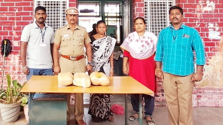 ஈரோடு: ரயிலில் கடத்தி வரப்பட்ட 3.5 கிலோ கஞ்சா பறிமுதல் - ஒடிசாவைச் சேர்ந்த பெண் கைது