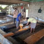 பழனி அருகே உணவு பாதுகாப்பு அலுவலர்கள் ஆய்வு.