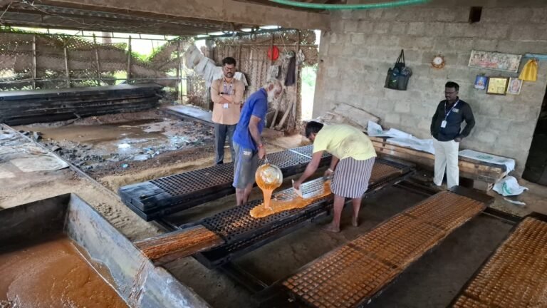 பழனி அருகே உணவு பாதுகாப்பு அலுவலர்கள் ஆய்வு.