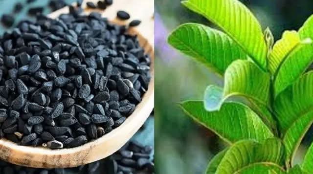காலையில் கொய்யா இலை... நைட் கருஞ்சீரகம்: தொப்பை இருக்கும் இடமே தெரியாம போயிரும்: டாக்டர் சொல்லும் டிப்ஸ்.