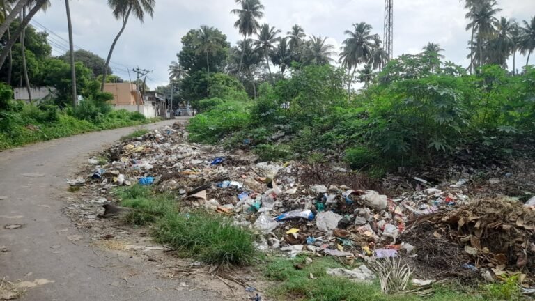 சோழவந்தான் அருகே மன்னாடி மங்கலம் ஊராட்சியில் குப்பைகள் கொட்டுவதால் சுகாதாரக் கேடு