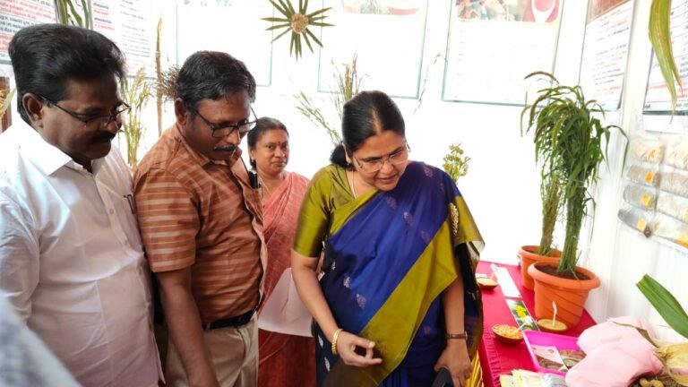 மாநில அளவிலான சிறுதானி உணவுத் திருவிழா