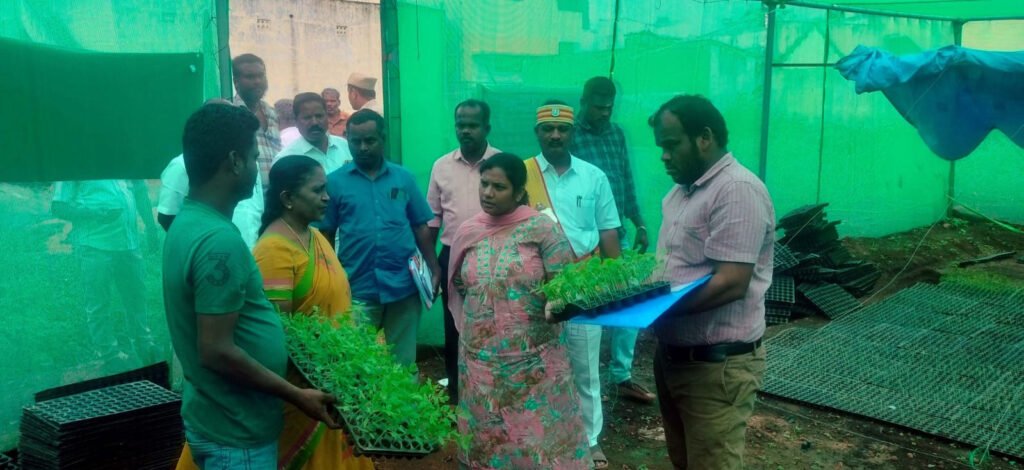 சிவகங்கை மாவட்டத்தில் தோட்டக்கலைத் துறை திட்டத்தை ஆட்சியர் ஆய்வு செய்தார்.