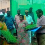 சிவகங்கை மாவட்டத்தில் தோட்டக்கலைத் துறை திட்டத்தை ஆட்சியர் ஆய்வு செய்தார்.