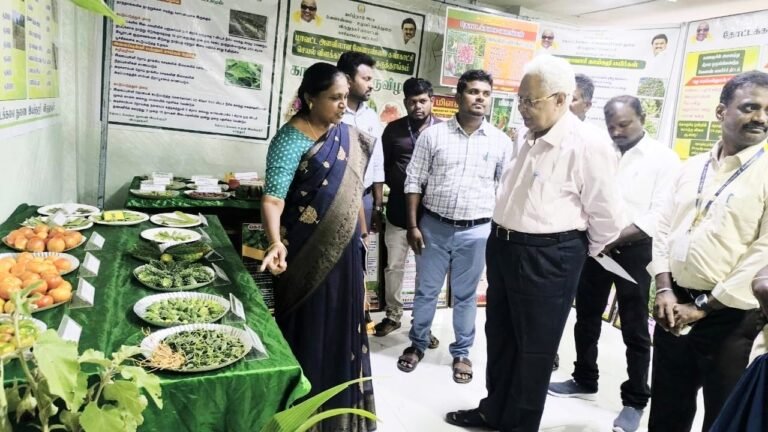 காரியாபட்டி அருகே சேது பொறியியல் கல்லூரியில் காய்கறி திருவிழா