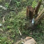 சோழவந்தானில் மது பிரியர்களால் விவசாய நிலங்கள் பாதிக்கும் அபாயம்