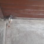 மதுரை சோழவந்தானில் தனியார் உணவகத்திற்கு அதிகாரிகள் சீல் பொதுமக்கள் வரவேற்பு.