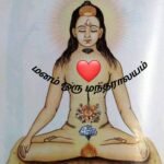 மனம் மகத்துவம் செய்யும் மந்திராலயம்…