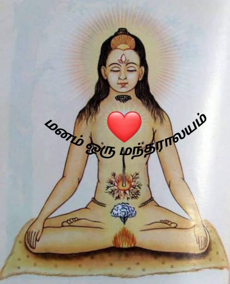 மனம் மகத்துவம் செய்யும் மந்திராலயம்…