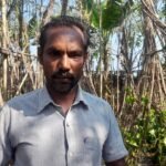 சோழவந்தானில் இரவு நேர திருடர்களால் கொடிக்கால் விவசாயிகள் பாதிப்பு