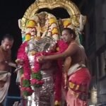 திருப்பரங்குன்றம் பங்குனிப் பெருவிழா நிகழ்ச்சி.