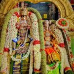 திருப்பரங்குன்றத்தில் மதுரை மீனாட்சி திருக்கல்யாண வைபவம்.