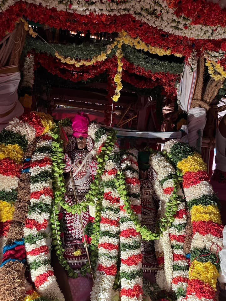 திருப்பரங்குன்றம் முருகன் கோவில் பங்குனி பெருவிழா தேரோட்டம்.