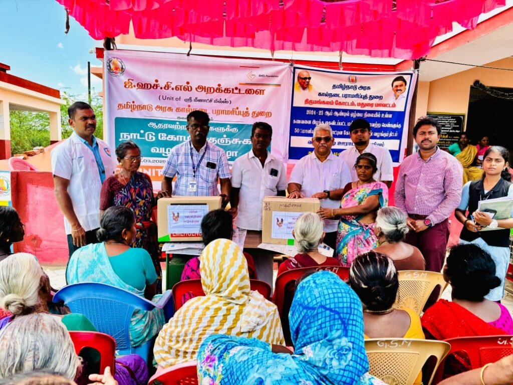ஆதரவற்ற மகளிருக்கு இலவச நாட்டுக்கோழி குஞ்சு.