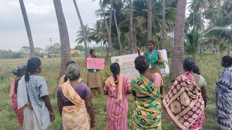 வேளாண் கல்லூரி மாணவிகள் செயல்விளக்க பயிற்சி