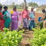 மல்லிகை செடியில் பூச்சியை நீக்கும் முறை பற்றிய விழிப்புணர்வு