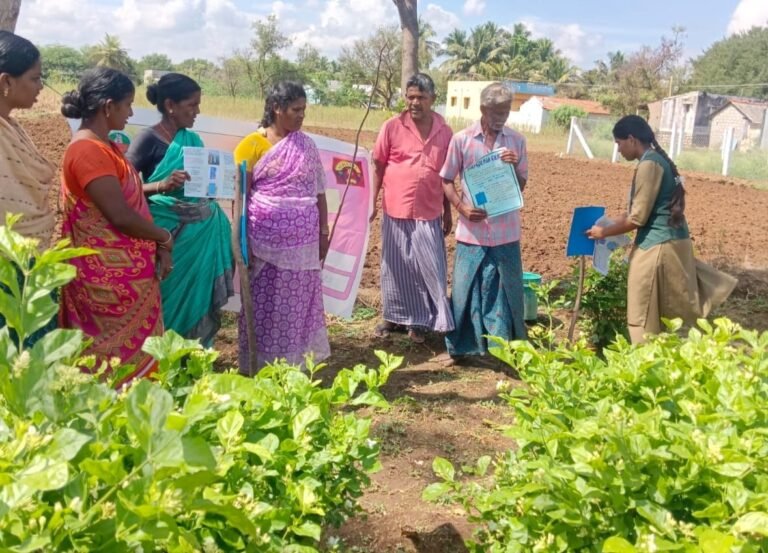 மல்லிகை செடியில் பூச்சியை நீக்கும் முறை பற்றிய விழிப்புணர்வு