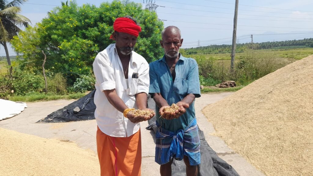 சோழவந்தான் அருகே, முள்ளிப்பள்ளம் கிராமத்தில் அறுவடை செய்த சுமார் 250 ஏக்கர் நெல் குவியல் மழை நீரில் மூழ்கியது நெல் கொள்முதல் நிலையம் அமைக்க விவசாயிகள் கண்ணீர் மல்க கோரிக்கை