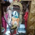 சிந்தாமணி சின்ன அனுப்பானடி மகாகாளியம்மன் திருக்கோவில் பங்குனி உற்சவ பெருவிழா - பக்தர்கள் பக்தி பரவசத்துடன் பால்குடம் எடுத்தும் அலகு குத்தியும் தரிசனம்