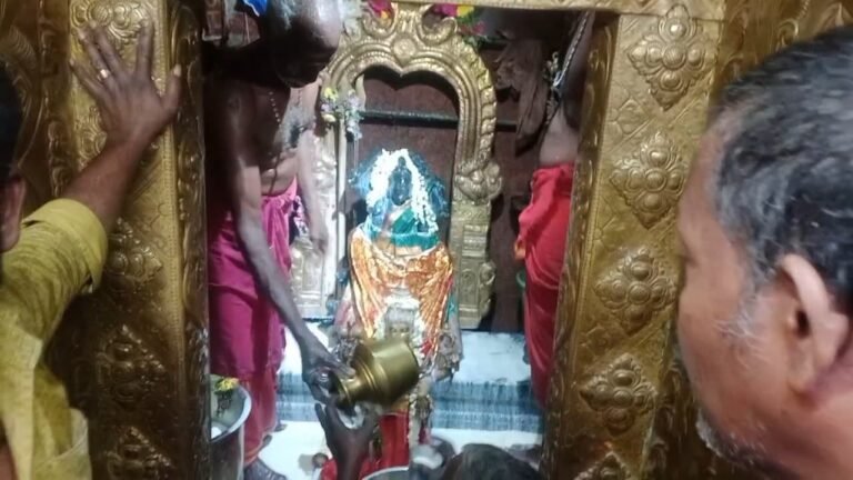 சிந்தாமணி சின்ன அனுப்பானடி மகாகாளியம்மன் திருக்கோவில் பங்குனி உற்சவ பெருவிழா - பக்தர்கள் பக்தி பரவசத்துடன் பால்குடம் எடுத்தும் அலகு குத்தியும் தரிசனம்