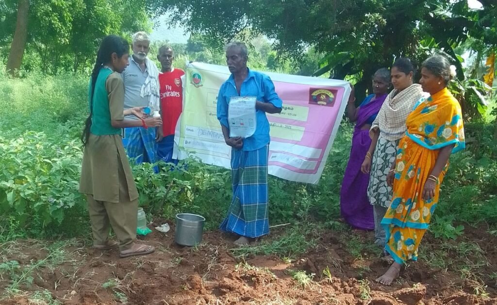 கத்திரிச் செடியில் வேப்பெண்ணை தெளிப்பு செயல் விளக்கம்