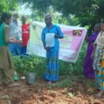 கத்திரிச் செடியில் வேப்பெண்ணை தெளிப்பு செயல் விளக்கம்