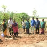 மேலக்கால் ஊராட்சி சார்பில் வைகை ஆற்றில் துப்புரவு பணி செய்து மரக்கன்றுகள் நடப்பட்டது