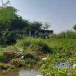 சோழவந்தானில் உள்ள தேனூர் பாசன கால்வாயை தூர்வார விவசாயிகள் சமூக ஆர்வலர்கள் கோரிக்கை