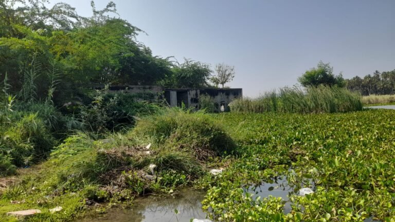 சோழவந்தானில் உள்ள தேனூர் பாசன கால்வாயை தூர்வார விவசாயிகள் சமூக ஆர்வலர்கள் கோரிக்கை