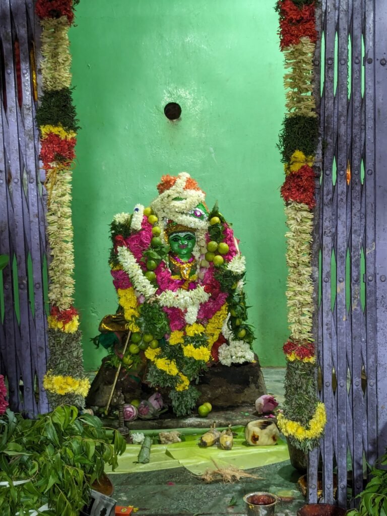 இராமநாதபுரம் மாவட்டம் கமுதி வட்டம் நாரையூரணி கிராமத்தில் பரிவார தேவதைகளுக்கு வருடாபிஷேக விழா நடைபெற்றது.