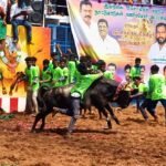 மதுரை மாவட்டம் அலங்காநல்லுார் அருகே கீழக்கரை கிராமத்தில் அமைந்துள்ள கலைஞர் நூற்றாண்டு ஏறுதழுவுதல் அரங்கத்தில் இயற்கை விவசாயிகள் மற்றும் நாட்டு மாடுகள் வளர்ப்போர் கூட்டமைப்பு சார்பில் ஜல்லிக்கட்டு போட்டி நடைபெற்றது.