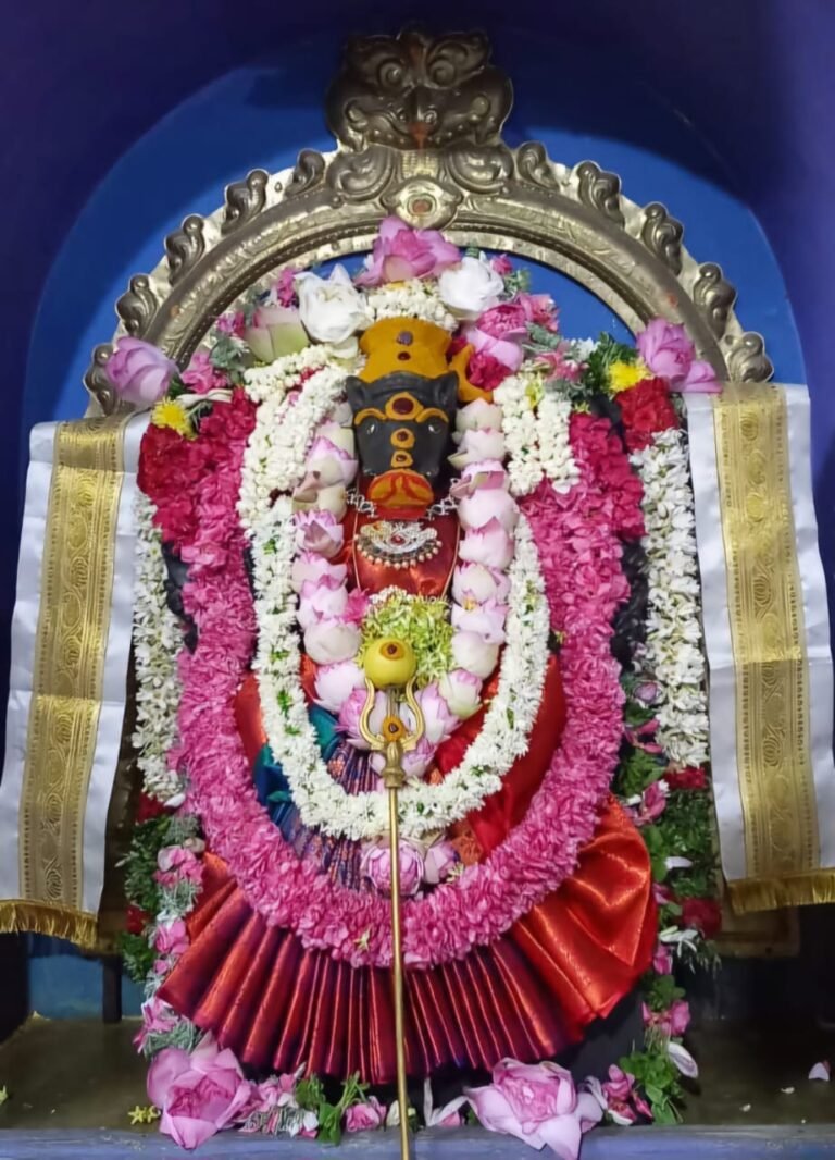 வளர்பிறை பஞ்சமி வராஹி அம்மனுக்கு சிறப்பு பூஜை.