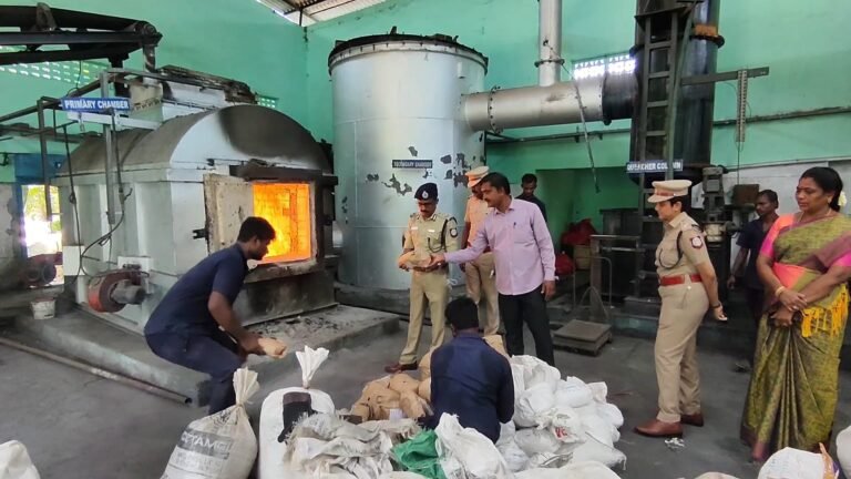 விஜயநாராயணம் அருகே 800 கிலோ கஞ்சா எரிப்பு மதுரை மாநகர கமிஷனர் தலைமையில் கஞ்சா அழிப்பு.