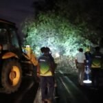 சூறைக்காற்றுடன் பலத்த மழை 100 ஆண்டு பழமையான புளிய மரம் சாய்ந்ததில் போக்குவரத்து பாதிப்பு.