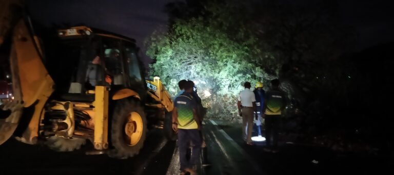 சூறைக்காற்றுடன் பலத்த மழை 100 ஆண்டு பழமையான புளிய மரம் சாய்ந்ததில் போக்குவரத்து பாதிப்பு.