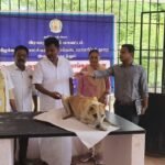 கீழக்கரை நகரில் வெறி நோய் தடுப்பூசி முகாம்! நகராட்சி ஆணையாளர் தகவல்!!