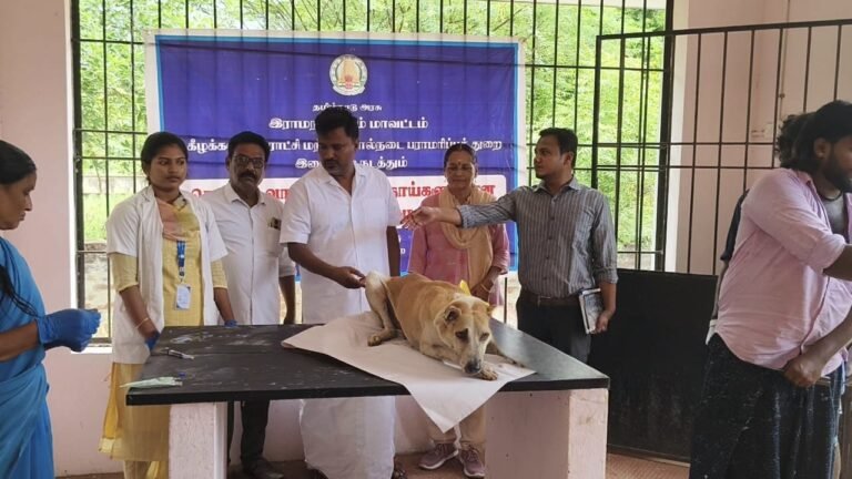 கீழக்கரை நகரில் வெறி நோய் தடுப்பூசி முகாம்! நகராட்சி ஆணையாளர் தகவல்!!