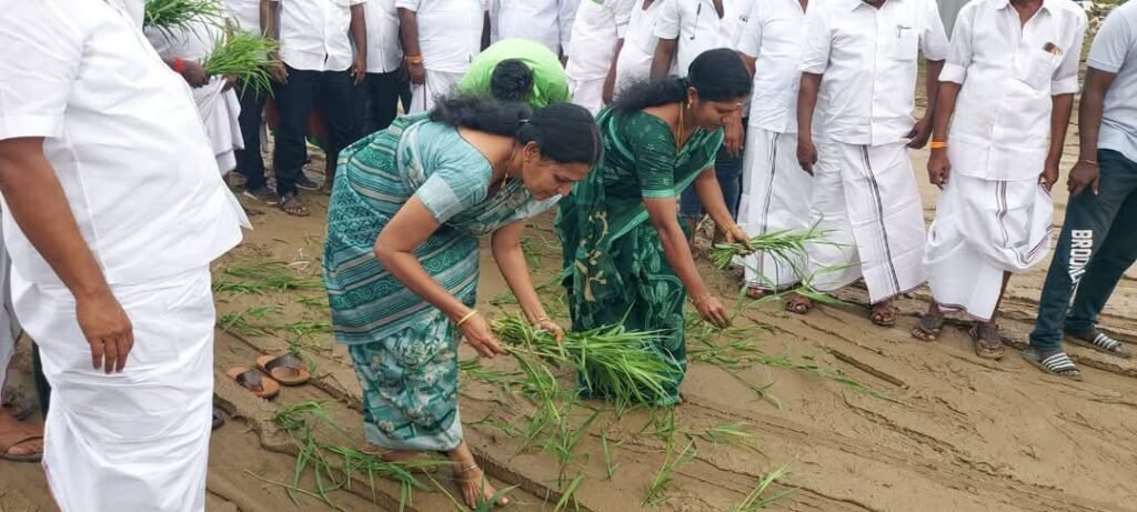 திருமங்கலம் தற்காலிக பேருந்து நிலையம் சேறும் சகதியுமாக இருப்பதால் பயணிகள் அவதி.