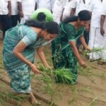 திருமங்கலம் தற்காலிக பேருந்து நிலையம் சேறும் சகதியுமாக இருப்பதால் பயணிகள் அவதி.