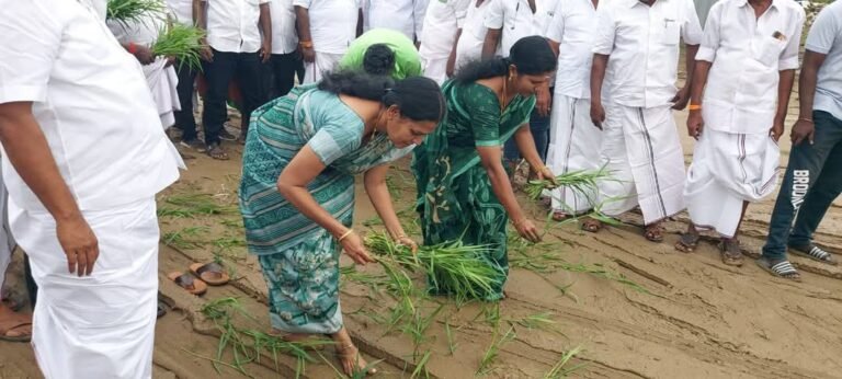 திருமங்கலம் தற்காலிக பேருந்து நிலையம் சேறும் சகதியுமாக இருப்பதால் பயணிகள் அவதி.